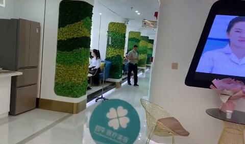 深圳四季