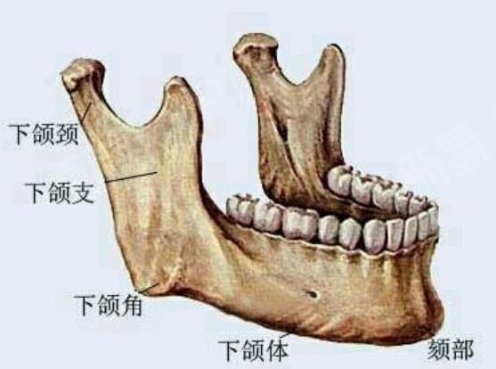 面部整形