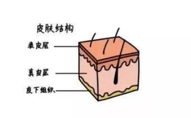 黑脸娃娃美容果好不好？工作原理+注意事项在线一览！