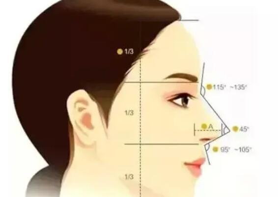 隆鼻动漫12.jpg 隆鼻动漫12.jpg