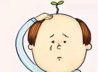 tddp植发技术怎么样？果好不好？值得一做吗？