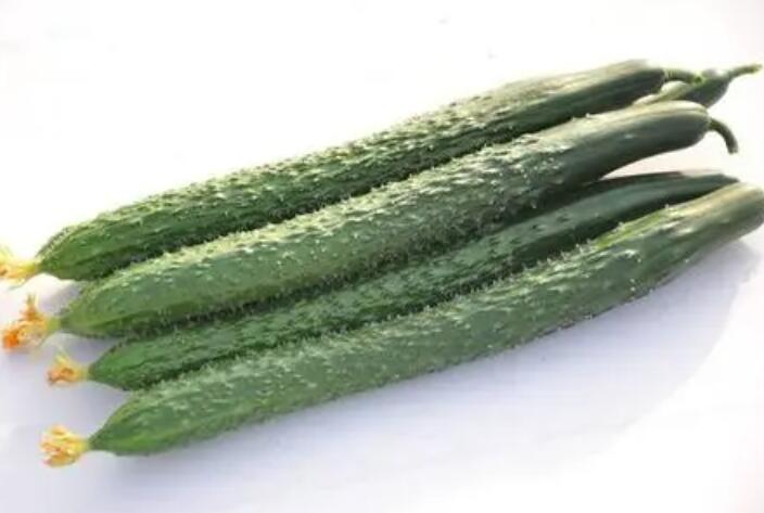 黄瓜.jpg