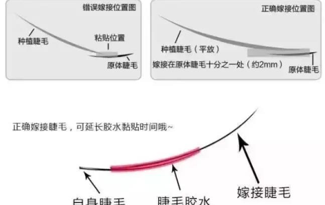 睫毛03.jpg 睫毛03.jpg