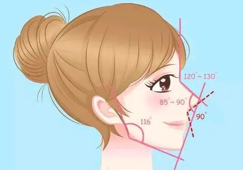 假体和自体肋骨隆鼻哪个好？适合的人群有哪些？存在什么样的风险？