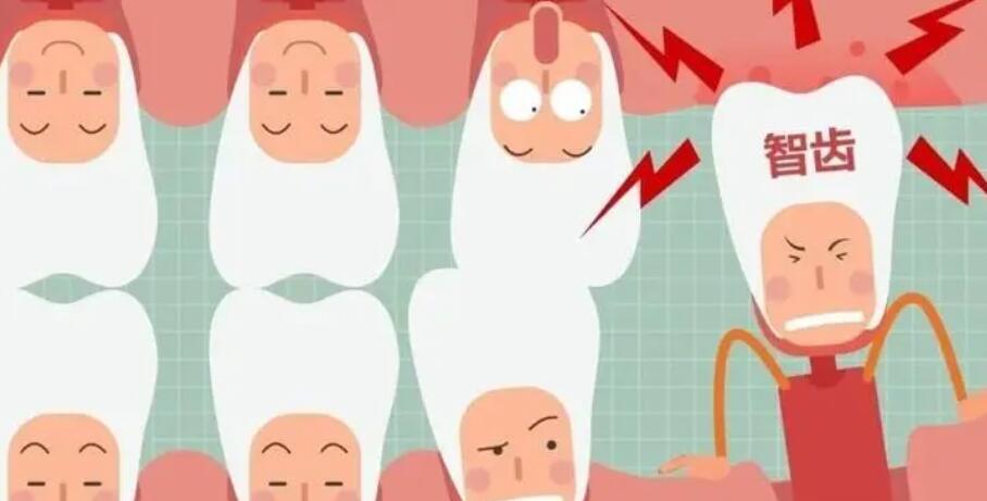 拔智齿动漫10.jpg 拔智齿动漫10.jpg