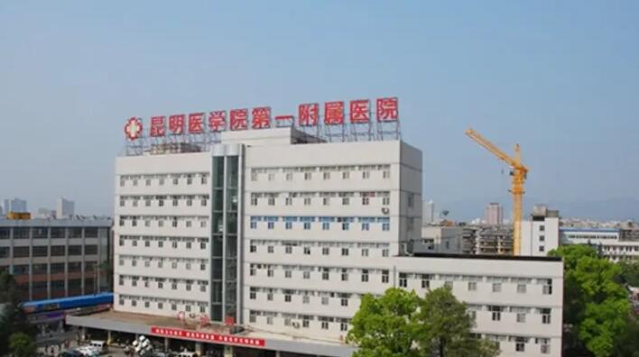 昆明公立整形医院排名榜单公布！上榜的都是技术实力一等一的医院！