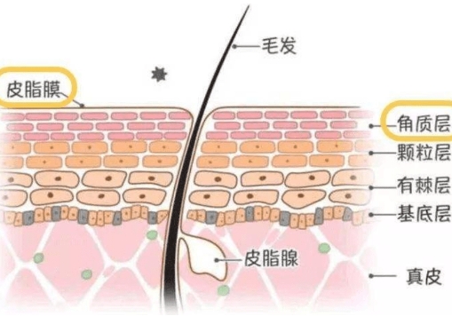 修复角质层的小妙招大合集整理!