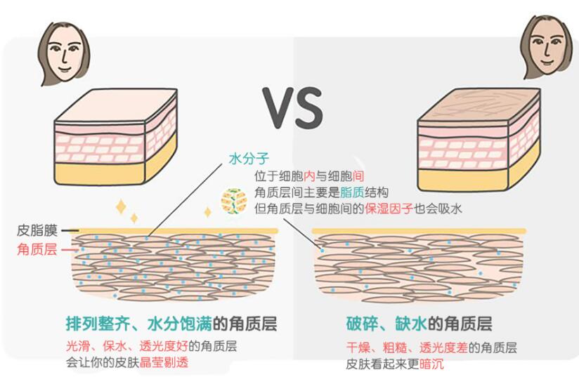重塑角质层:肌肤康复的细致之旅
