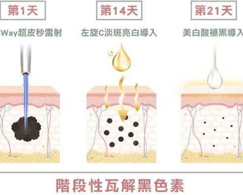 蜂巢皮秒3.jpg