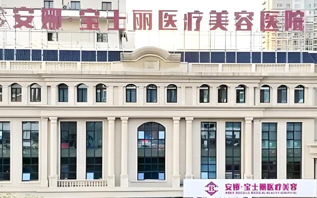 安娜宝士丽.jpg