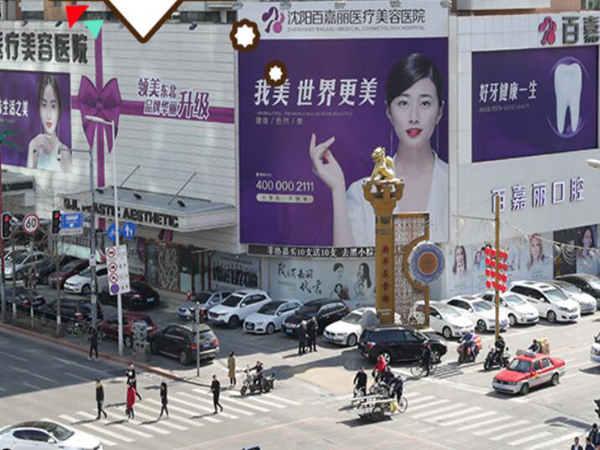 百嘉丽.jpg