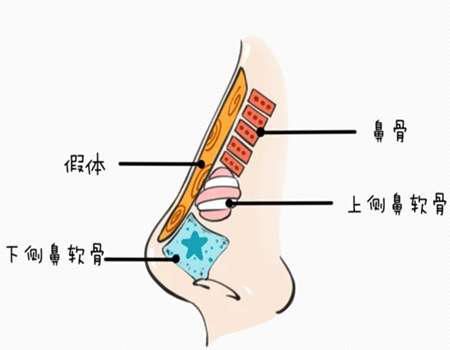 上海同济医院整形外科鼻部整形专家有哪些？热门医生名单一一了解