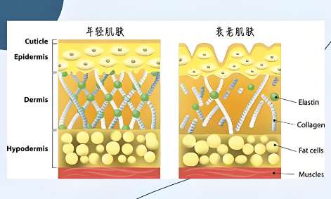 QQ20240924-125218.jpg