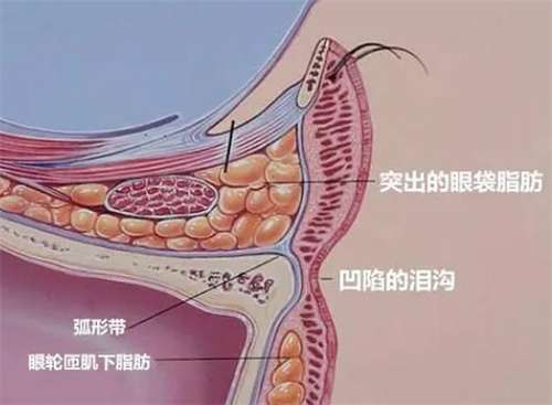 上海仁生医疗美容正规吗？一文探索医院详情