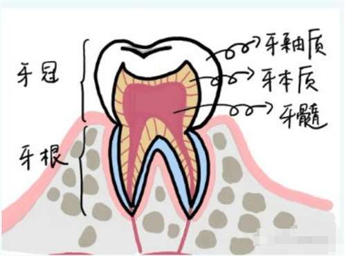全瓷烤瓷牙可以做核磁共振吗?装全烤瓷牙疼不疼?