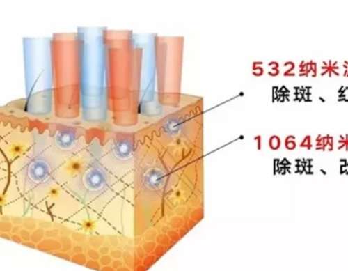 微信截图_20240923195356.jpg