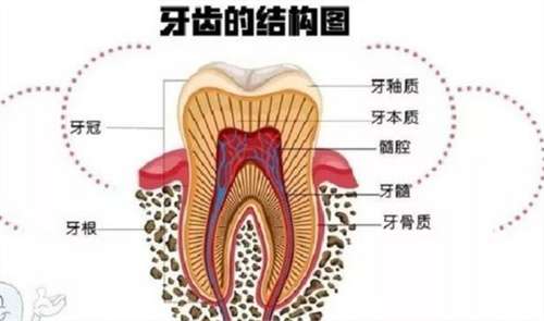 微信截图_20240905231934.jpg