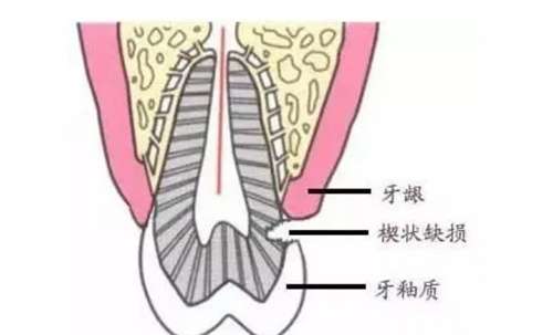 微信截图_20250126204019.jpg