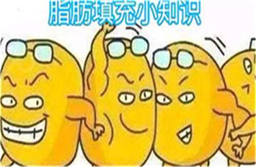 上海纽菲思医疗美容门诊部脂肪填充价格?医院简介