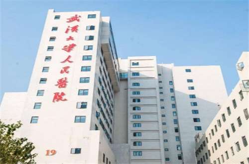 武汉大学人民医院.jpg