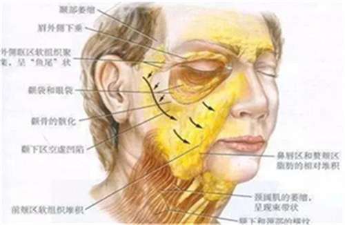 微信截图_20230413132202.jpg