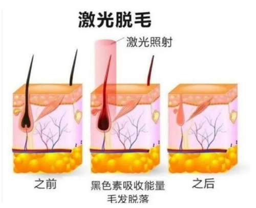 微信截图_20250209142745.jpg