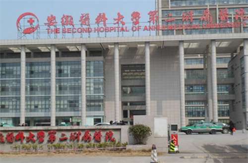 安徽医科大学第二附属医院.jpg