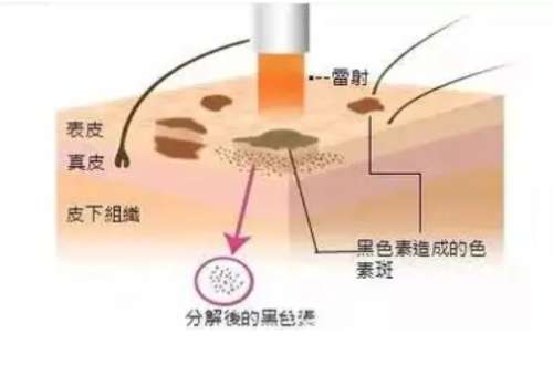 微信截图_20250112214745.jpg