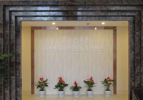 上海碧莲盛.jpg