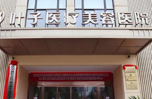 西安叶子整形医院.jpg