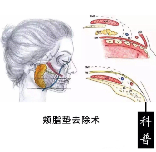 wechat_2025-07-07_172507_708.png
