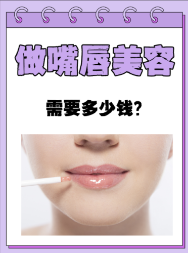 嘴巴整形手术要多少钱?专业视角下的价格构成