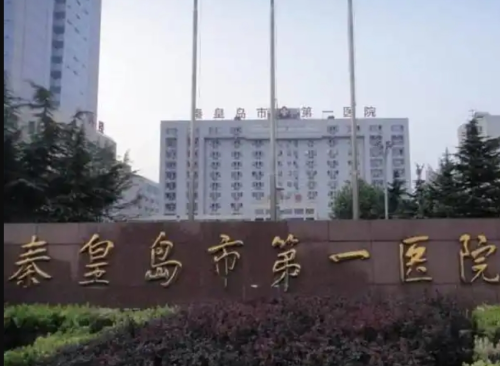 秦皇岛市第一医院整形外科王嘉欣做副乳怎么样：术前术后全记录与真实反馈
