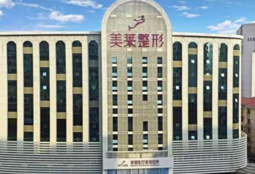 广州美莱医疗美容.jpg