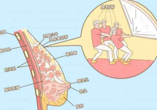 QQ截图20251225230614.png