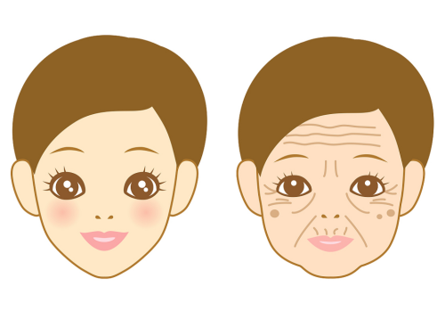 QQ截图20251227212507.png